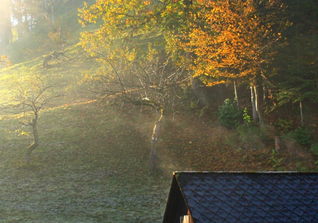 Fewo Gabi Haus Pacher Sankt Peter am Kammersberg Esterno foto