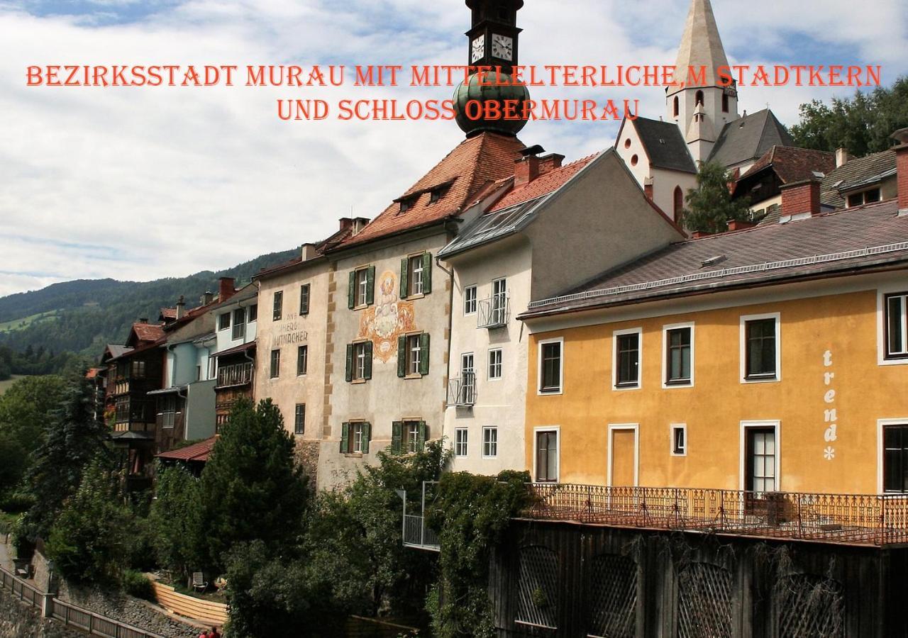 Fewo Gabi Haus Pacher Sankt Peter am Kammersberg Esterno foto
