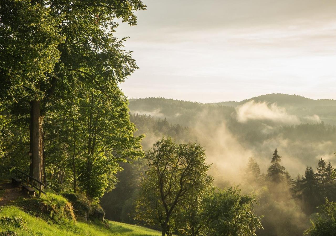 Fewo Gabi Haus Pacher Sankt Peter am Kammersberg Esterno foto